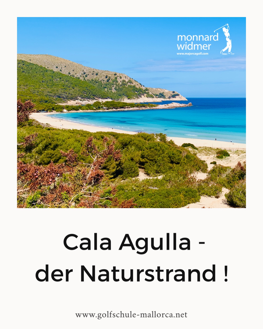 Cala Agulla im Nordosten Mallorcas – heller Sandstrand mit türkisfarbenem Wasser und Pinienwald, ideal zur Kombination von Golftraining und Urlaub.