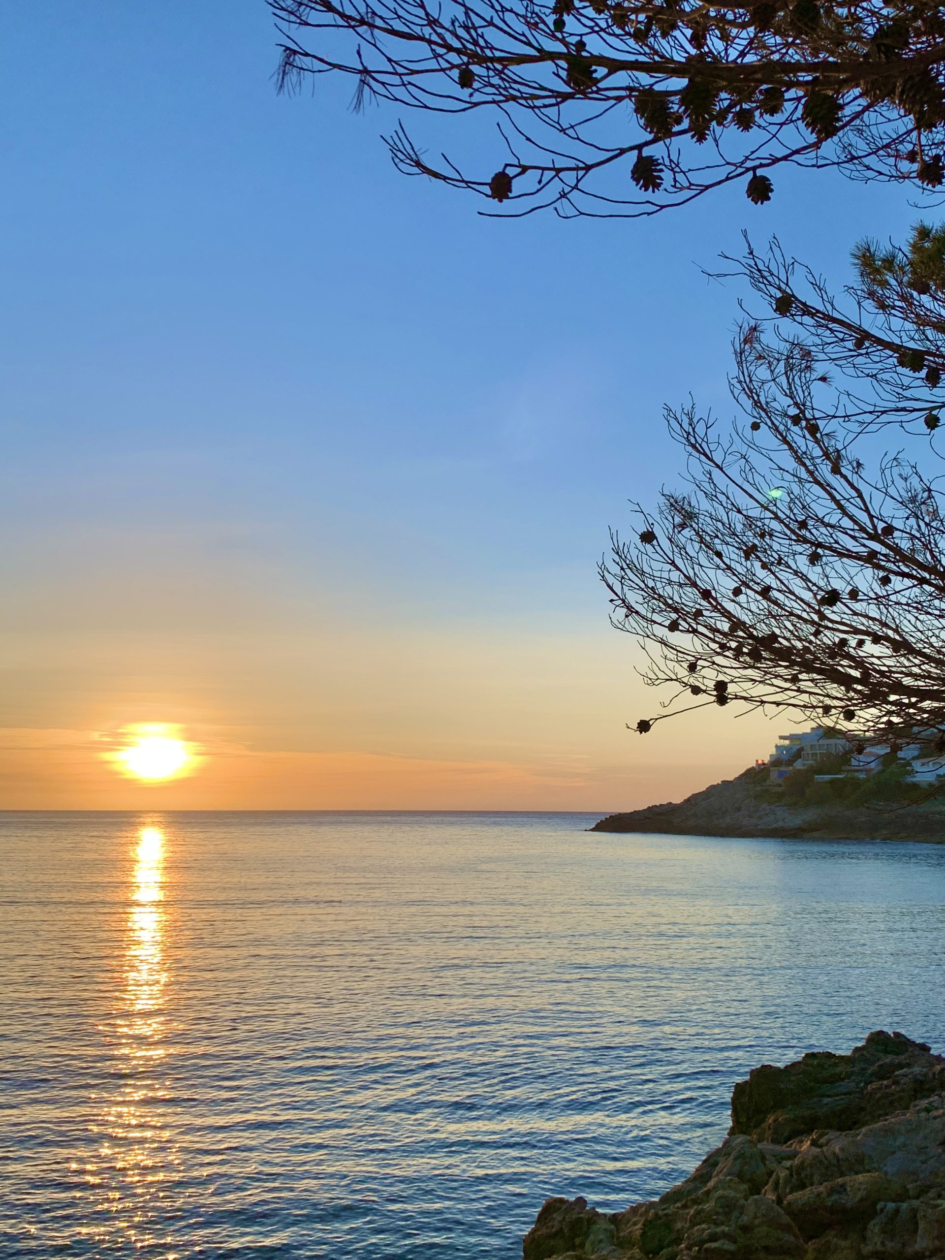 Sonnenaufgang auf Mallorca mit Spiegelung der Sonne im Meer, sichtbarer Küstenlinie mit einigen Häusern und Baumästen im Vordergrund – stimmungsvolle Atmosphäre eines frühen Morgenspaziergangs.