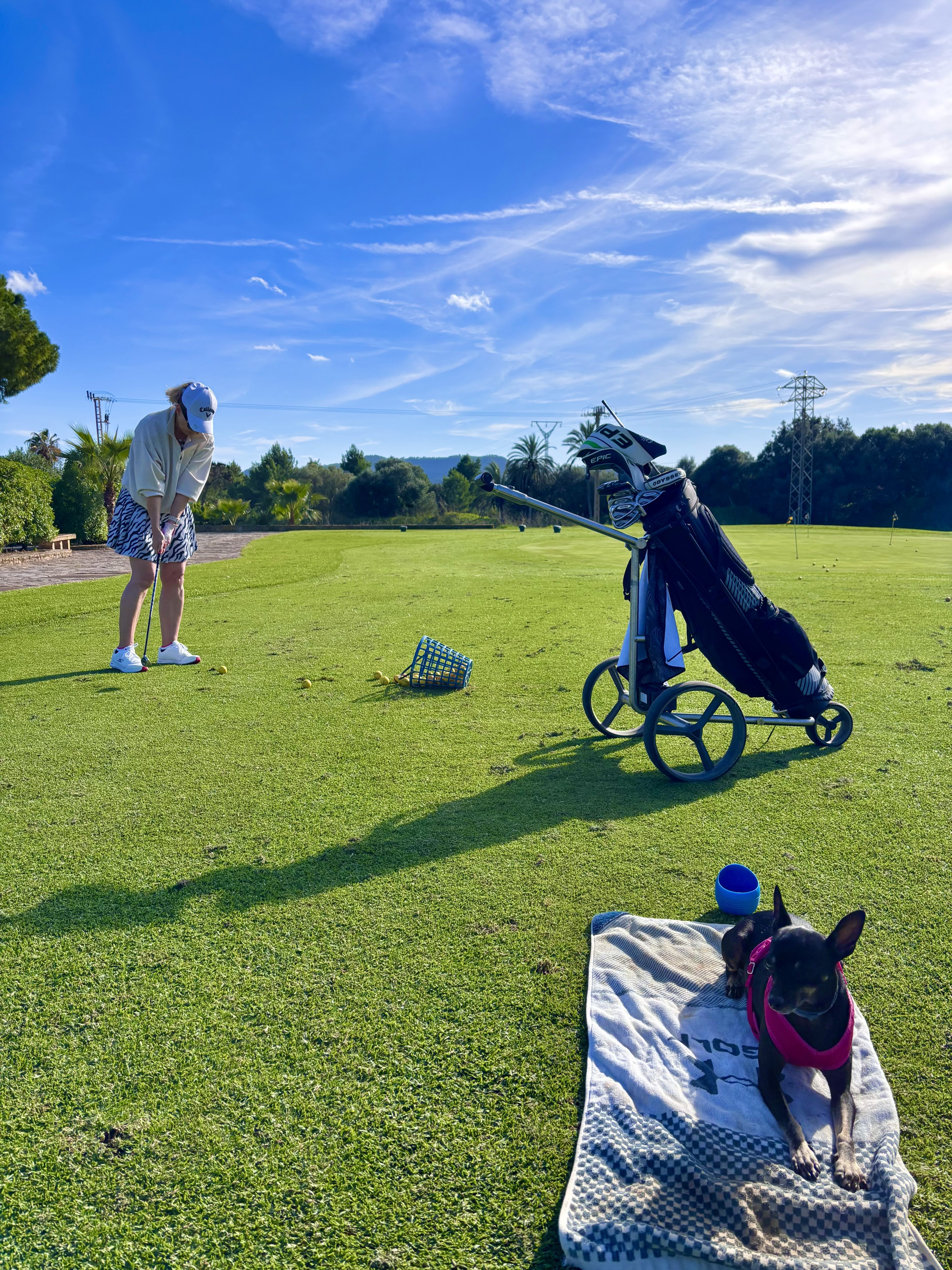 Golferin in kurzer Hose beim Chippen auf Mallorca, Golfbag im Hintergrund, kleiner Hund auf einem Handtuch in der milden Wintersonne. Aufgenommen im November.